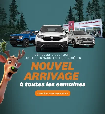 Nouvel arrivage occasion
